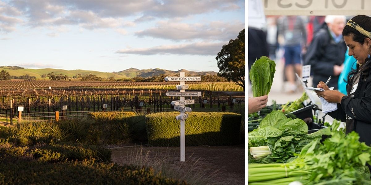 3 Ways the Food Industry has Changed Forever (beyond your groceries)