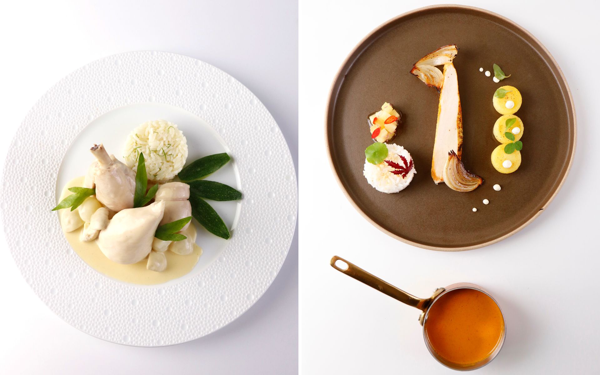 SPure organized exclusive cuisine for Gourmet Academy Red