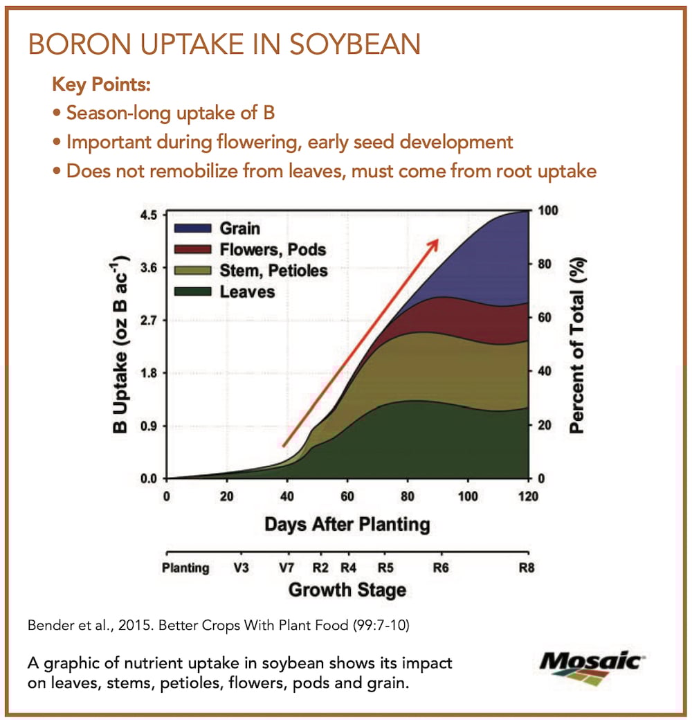 Boron. An (micro) nutrient for soybeans Country Guide
