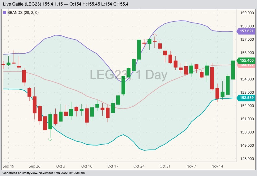 U.S. livestock CME live cattle up ahead of monthly USDA report