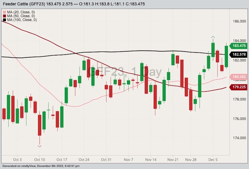 U.S. livestock Cattle futures firm despite softer cash cattle