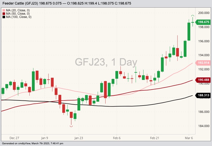 U.S. livestock CME feeder cattle climb to another contract high