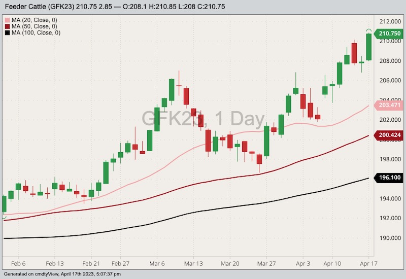 U.S. livestock CME feeder cattle hit new highs on supplies, cash