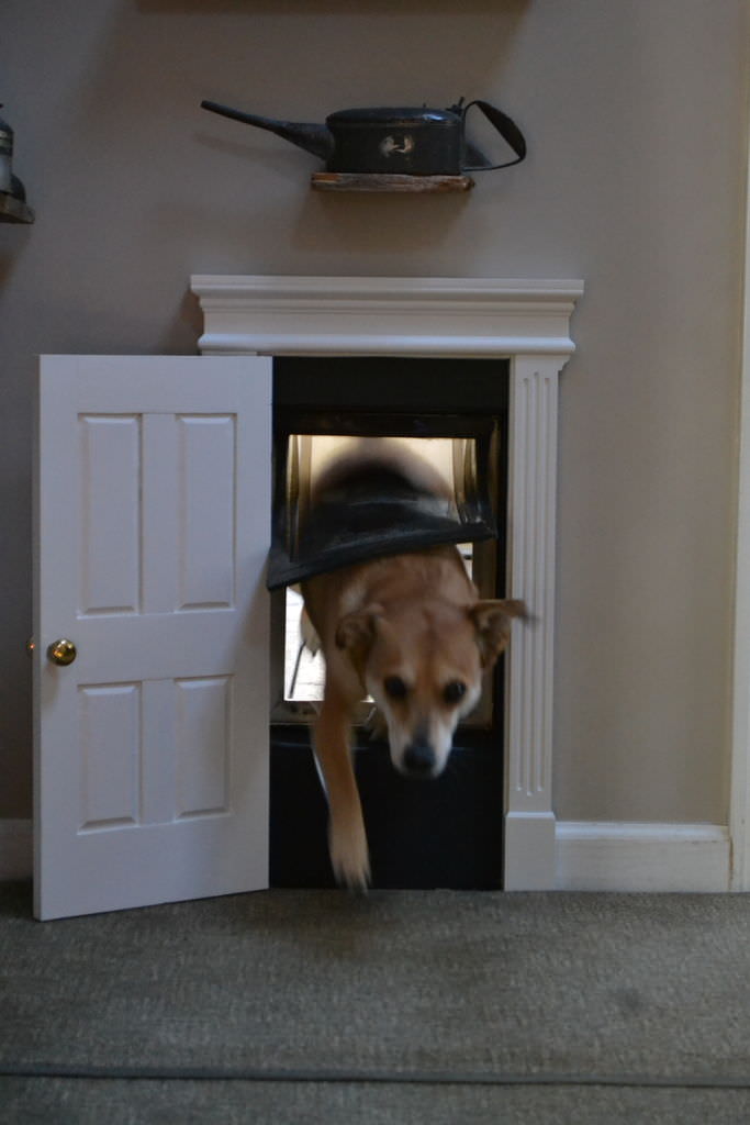 High Class Dog Door Gift Ideas Creative Spotting