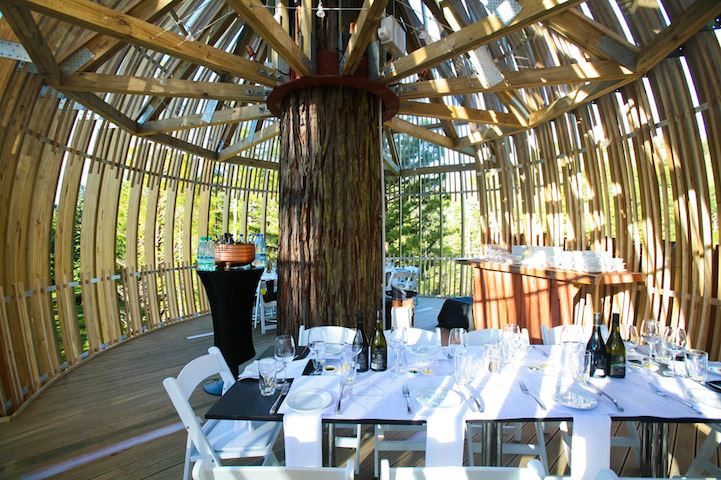Stunning Tree House Restaurant Suspended 130feet Above Ground Gift