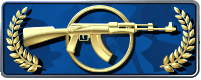 Player statistics Momiji CSGO Stats