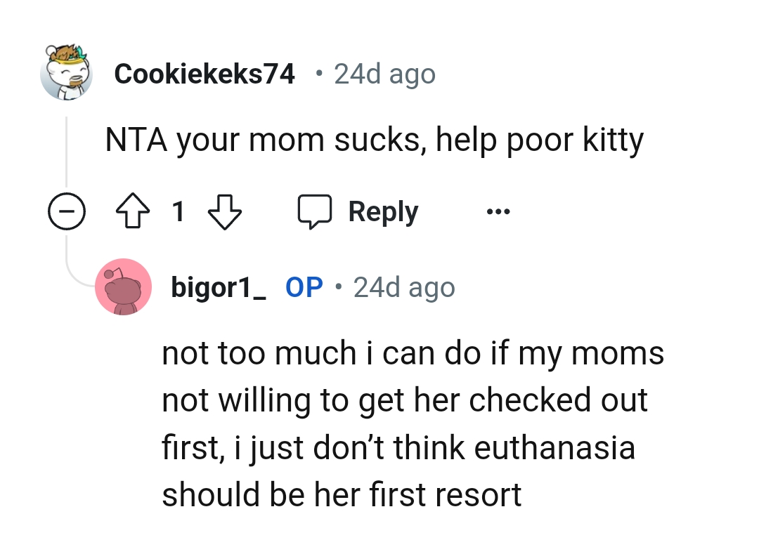 Teen Loses It With Her Mom For Trying To Put Cat Down Over Minor Issue