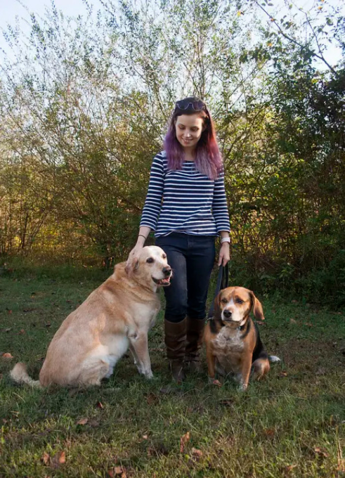 Two Stray Dogs Gain Forever Love When They Take On The Role Of