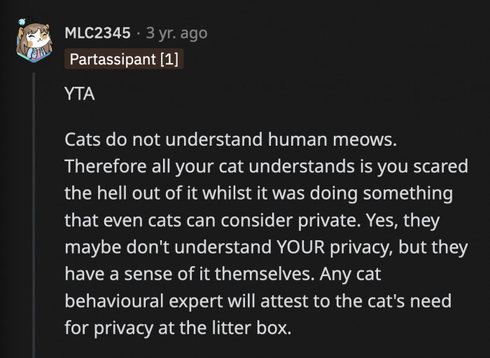 Frustrated Owner Meows At The Cat While It's On The Litter Box To