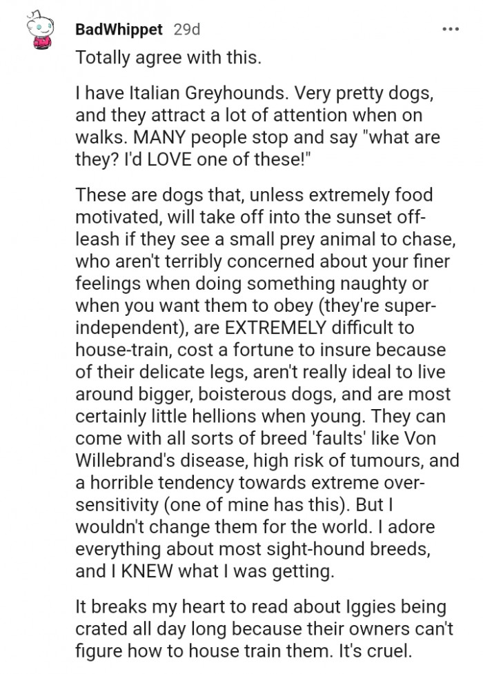 Redditor Vents Online While Advising People To Research Before Adopting