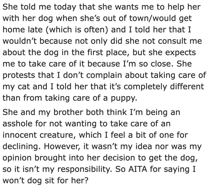 Woman Gets Criticized By Her Family Members For Refusing To Care For A Dog