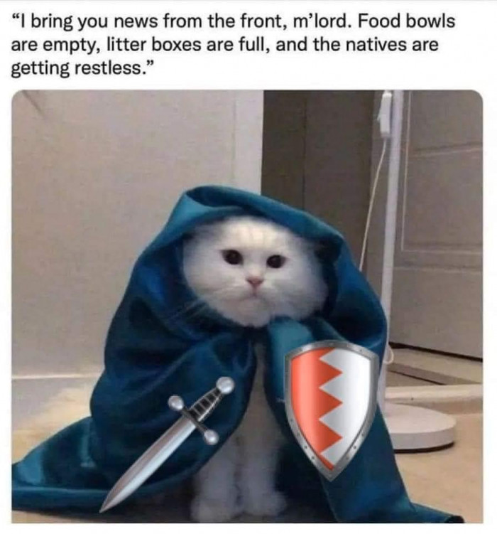 Cat Memes That Are Astonishingly Hissterical (21 Pictures)