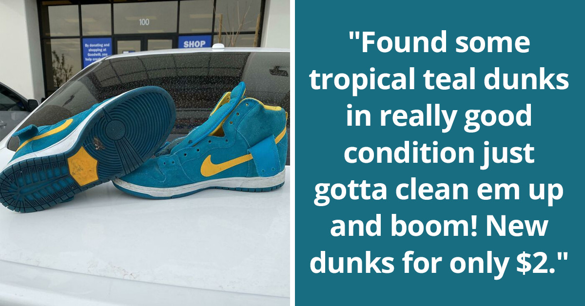 50 People Show Off Their Best Finds While Thrift Shopping At Goodwill