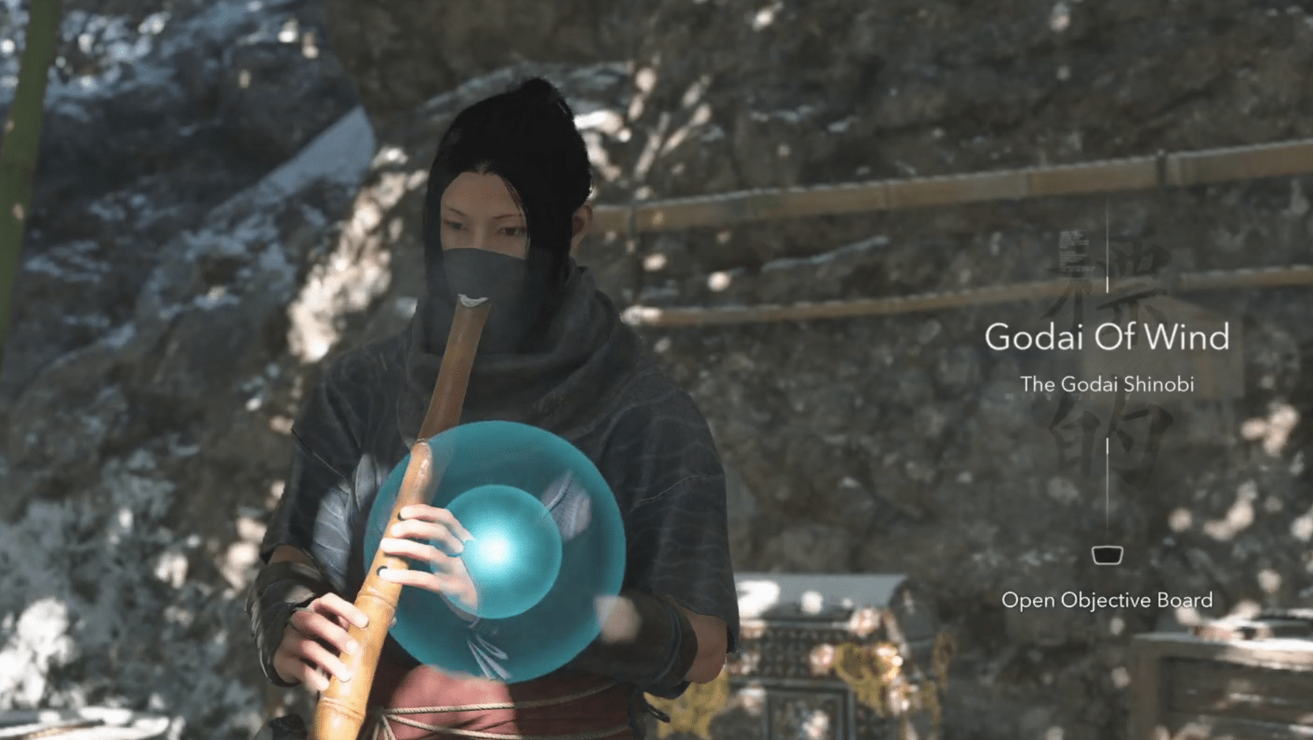 The Godai of the Wind of the Godai Shinobi side quest