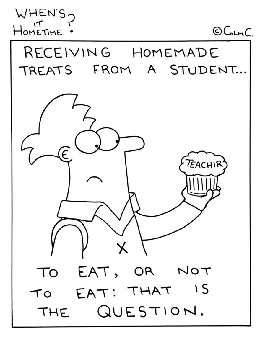 This Guy Summed Up His Primary School Teaching Experience In 35 Funny