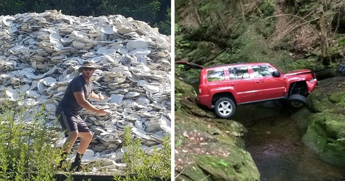 40 Weirdest Discoveries People Stumbled Upon In The Woods DeMilked