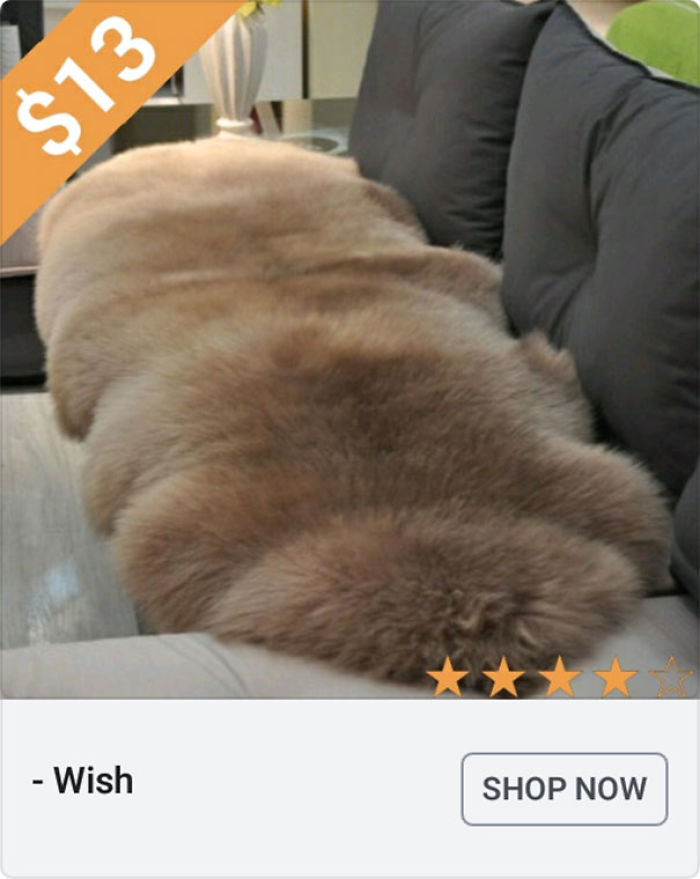 25 Weirdest "Wish" Ads Found By This Girl That Are As Odd As They Are