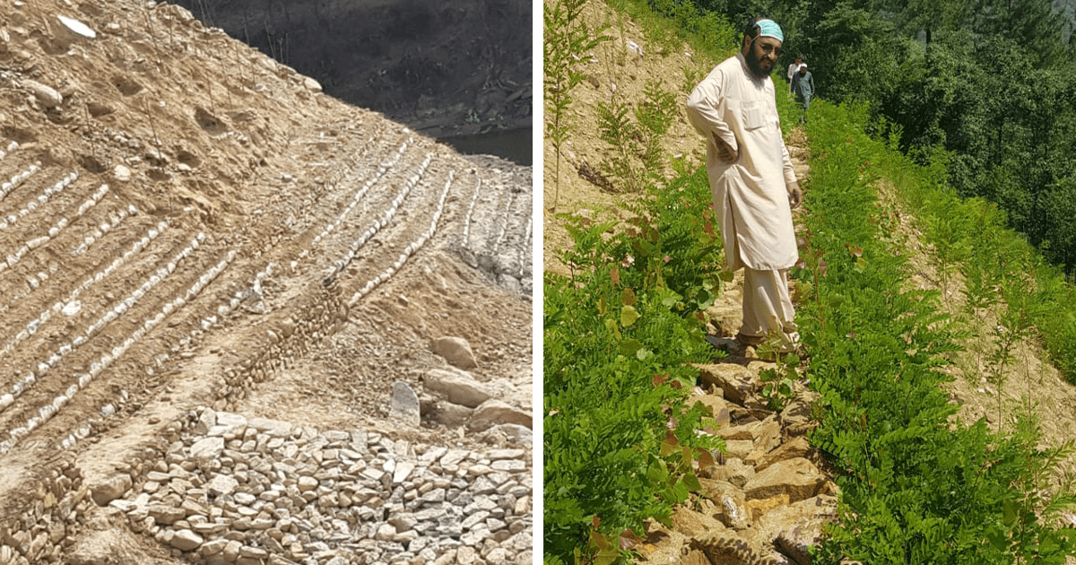 Here's How The “10 Billion Tree Tsunami” Initiative Transformed One