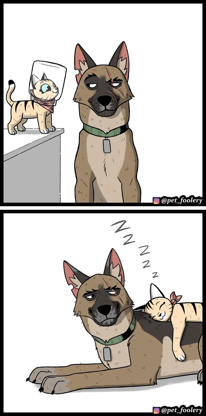 15 Adorable New Pixie And Brutus Comics That Will Brighten Your Day