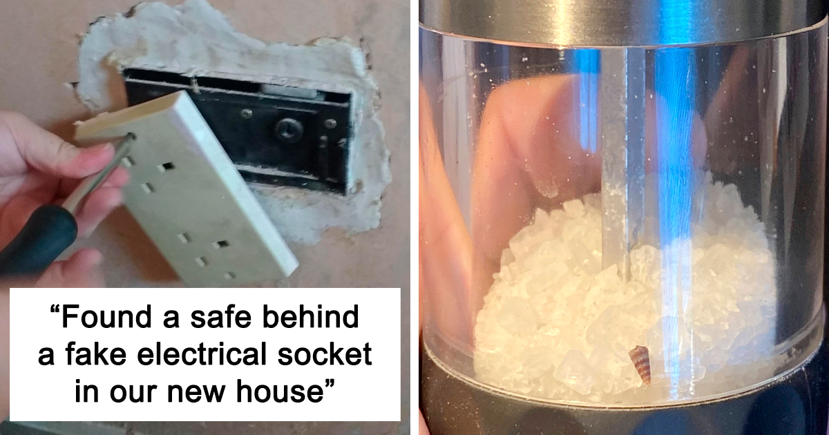 30 Of The Most Interesting And Unexpected Things That People Found (New