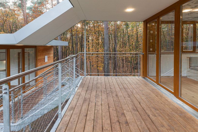 baumraum treehouse in belgium