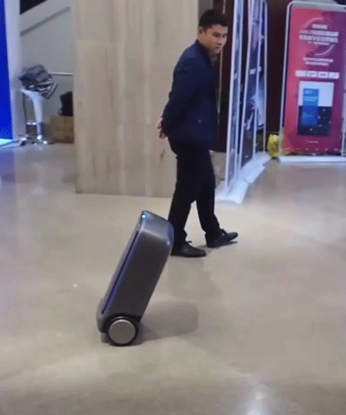 these autonomous suitcases follow people around like puppies