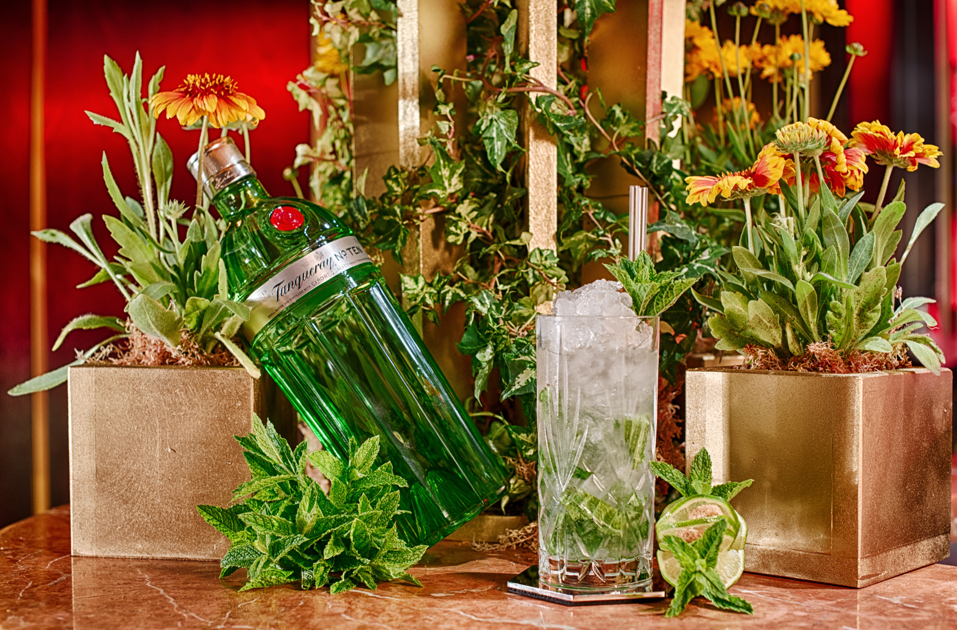 Giovanni's Gin Garden West End, London Food & Drink Reviews