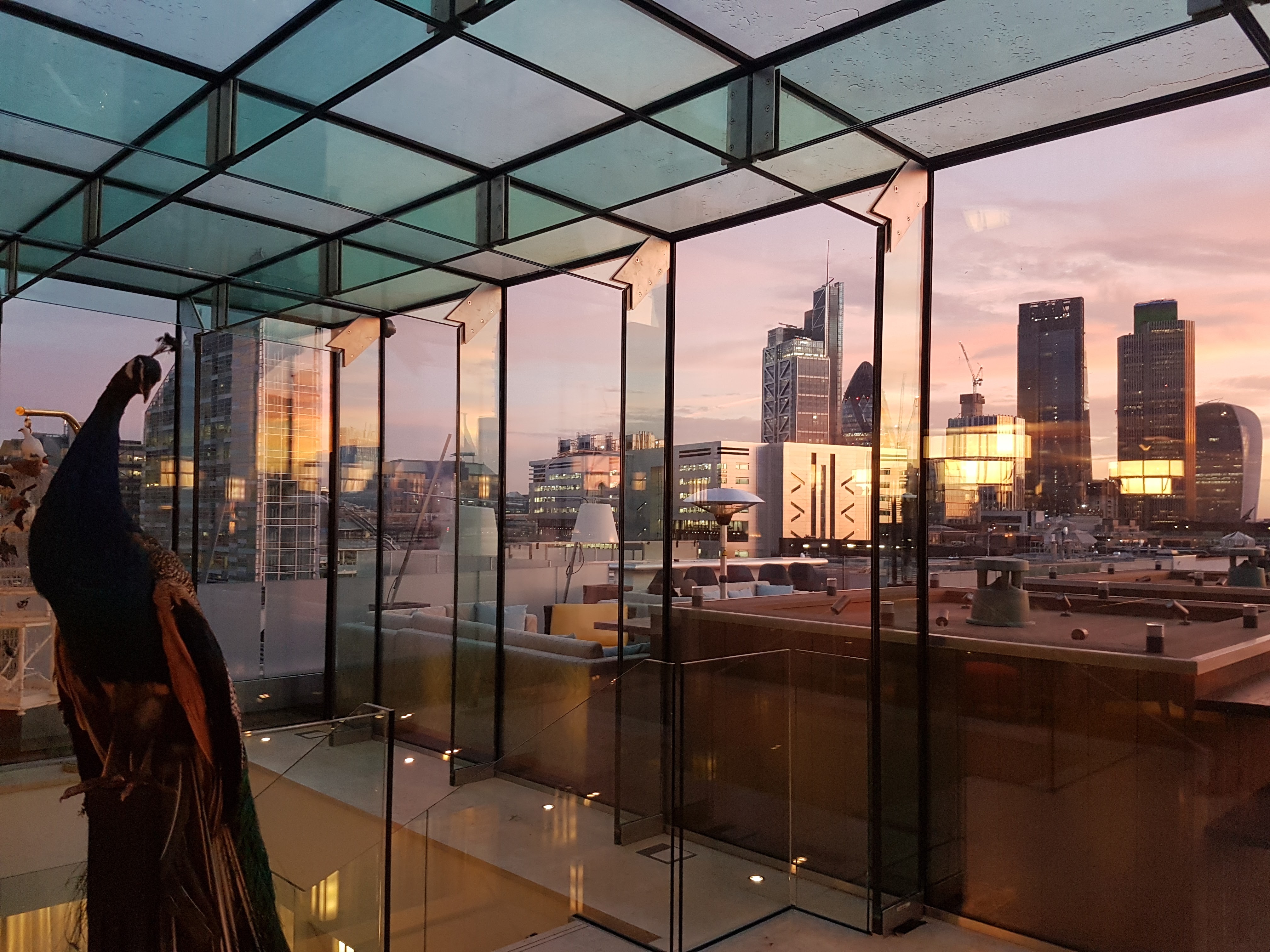Aviary Finsbury Square London Rooftop Restaurant and Bar Reviews