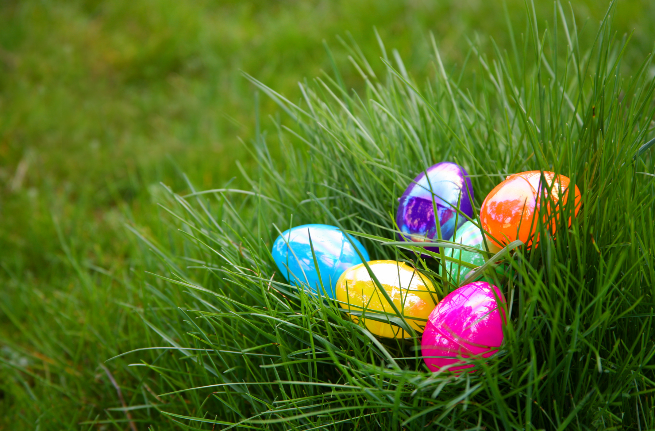 Easter Egg Hunt Ealing, London Daytime Reviews DesignMyNight