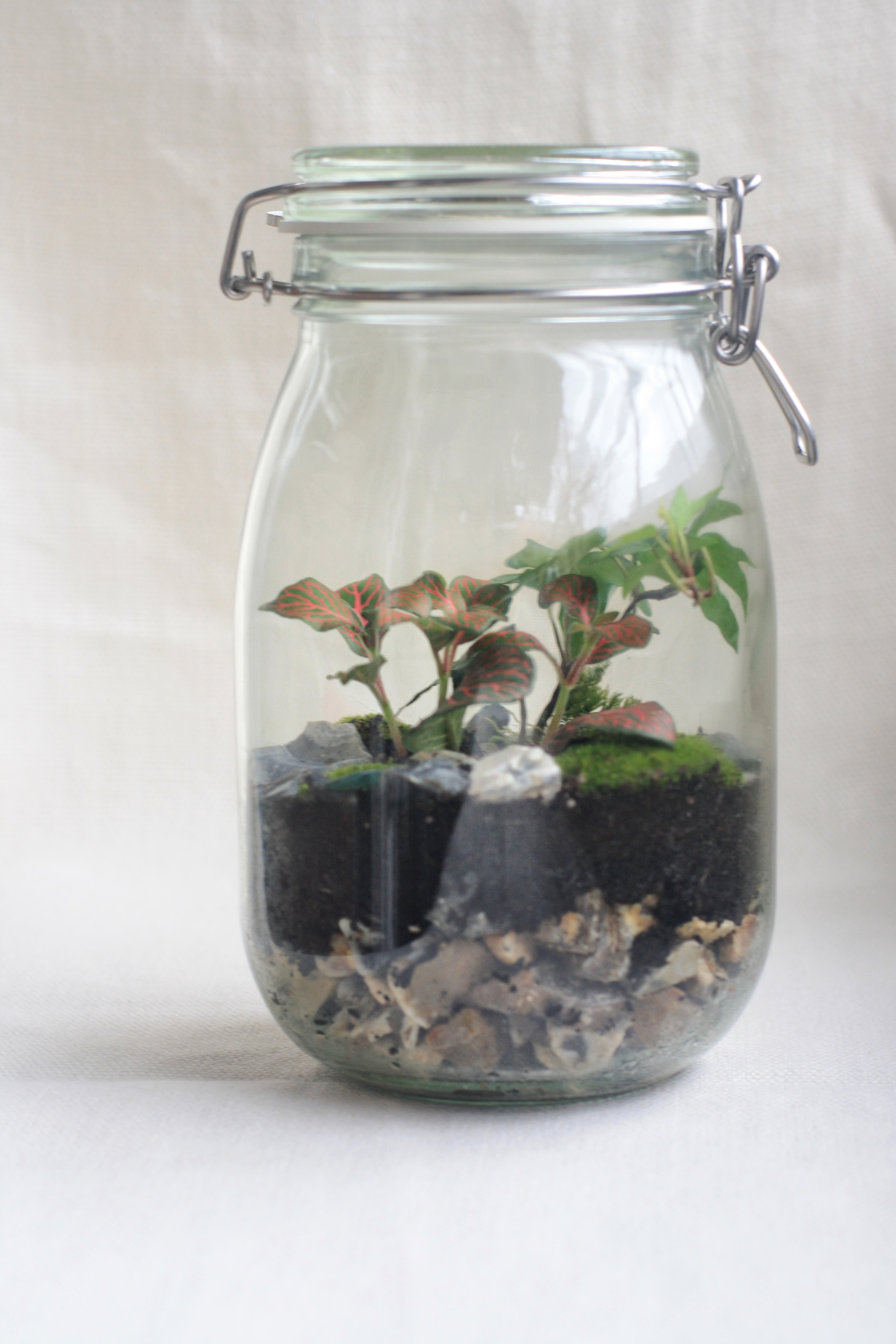 Terrarium London Classes Reviews DesignMyNight
