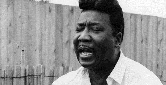 The Story of Muddy Waters A Live Rendition Camden, London Themed