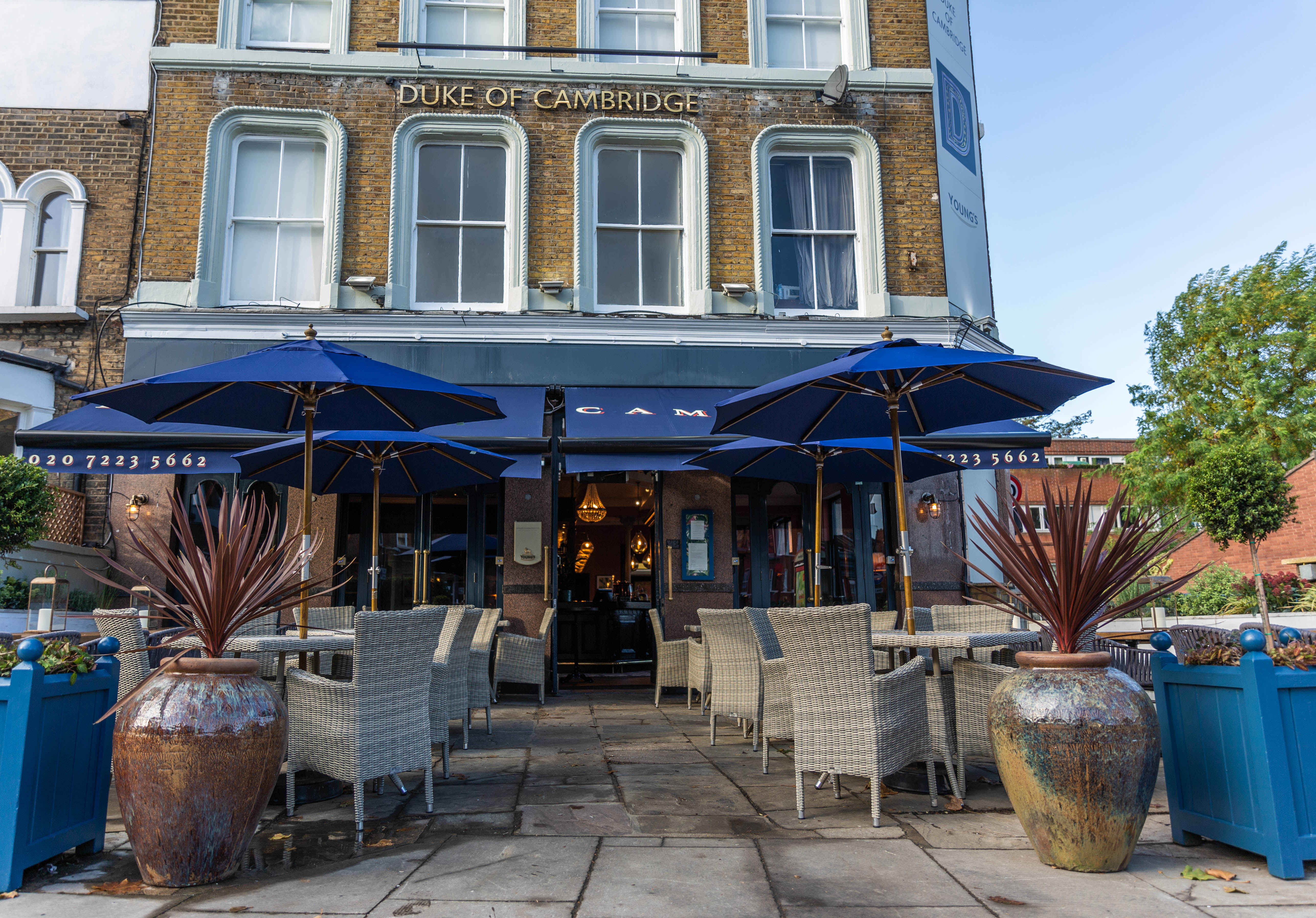 The Duke of Cambridge Battersea Clapham London Pub Reviews