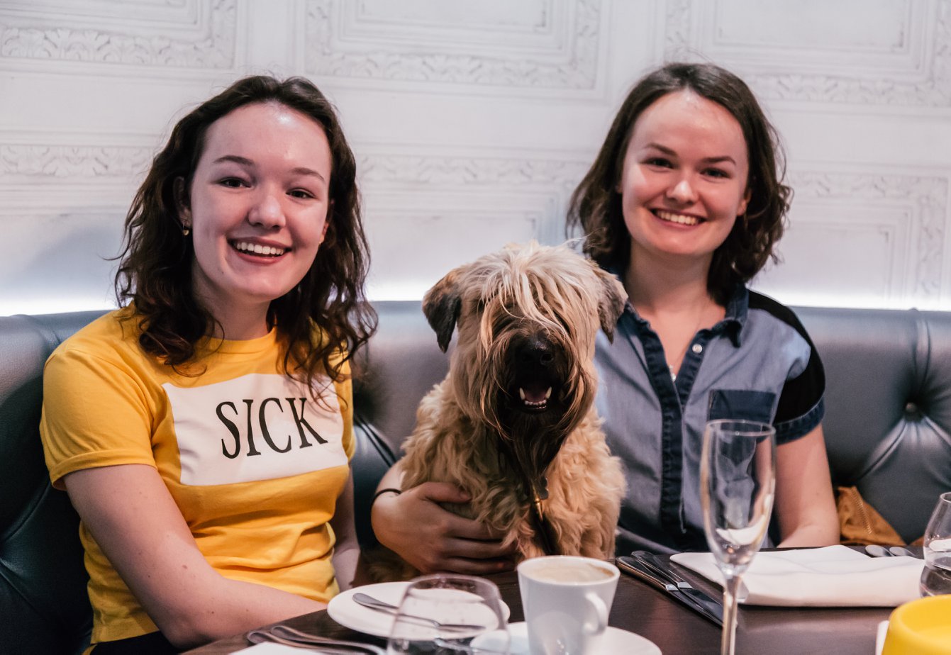 Should Dogs Be Allowed In Restaurants Uk