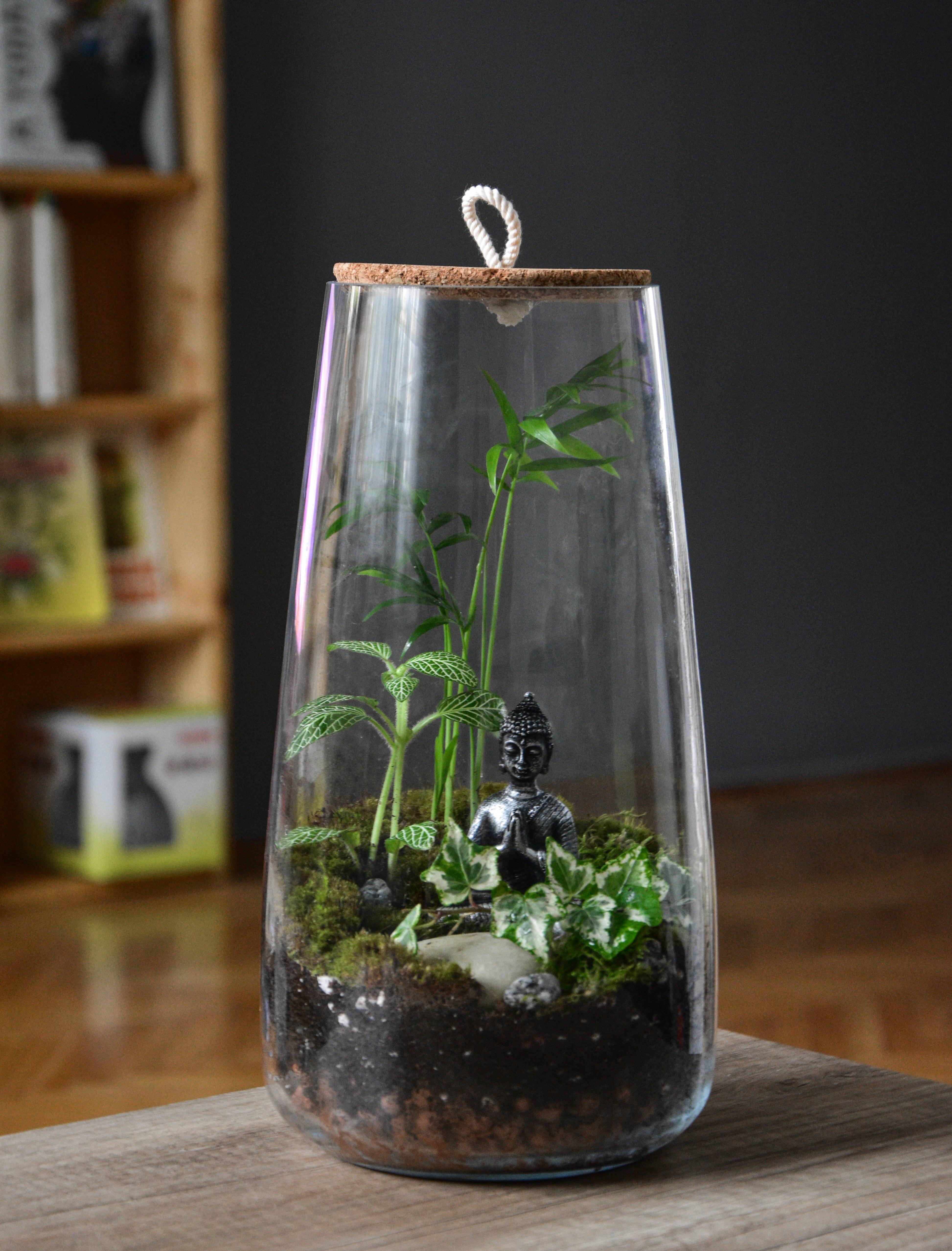 Terrarium Making UK Classes Reviews DesignMyNight