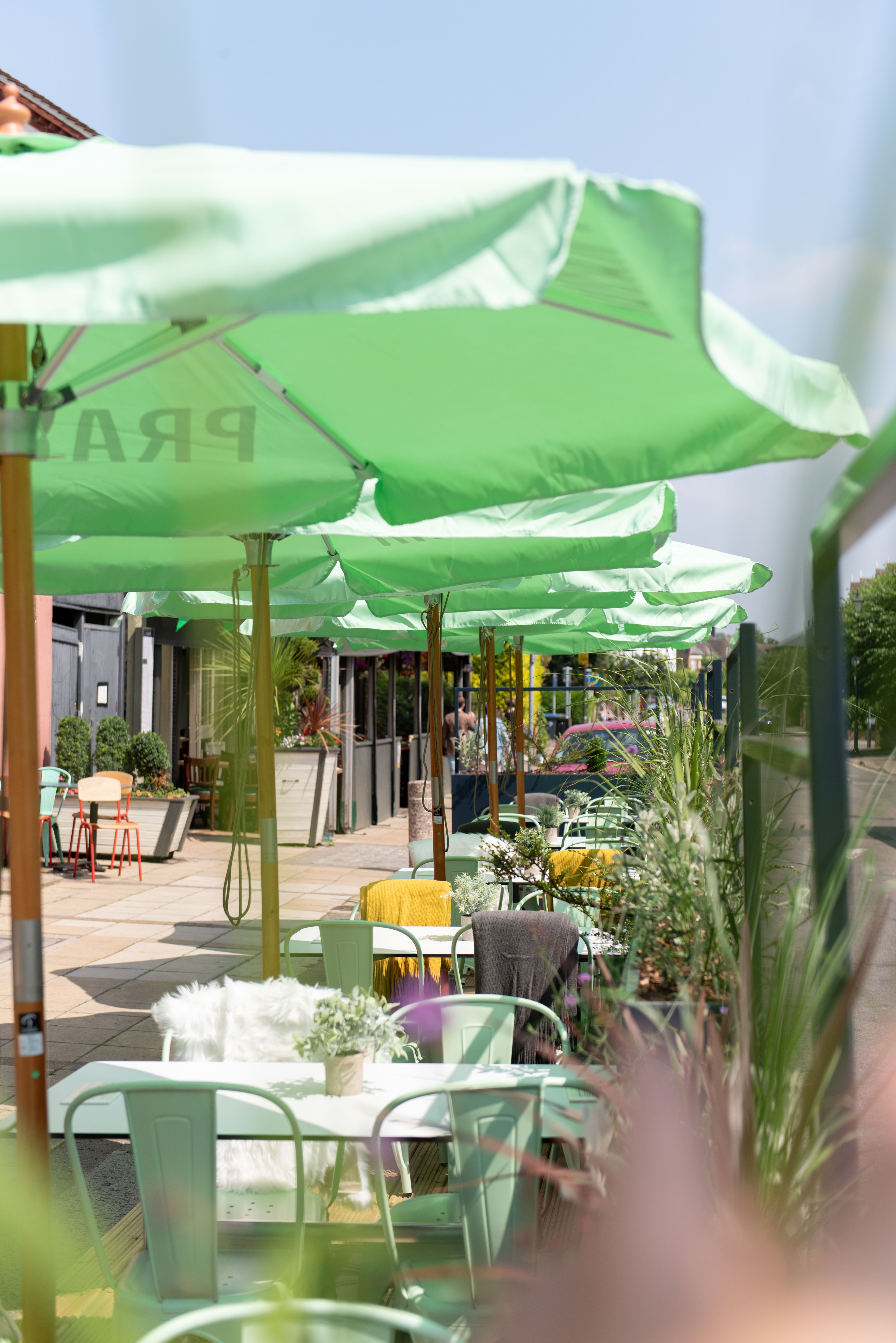 The Old Frizzle Wimbledon London Bar Reviews DesignMyNight