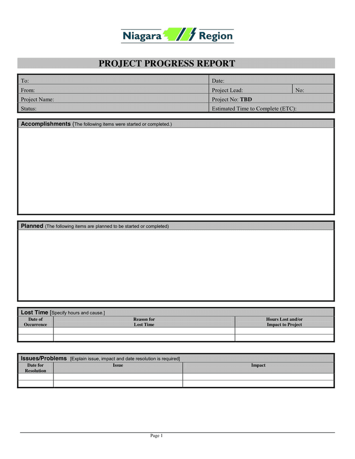 Project Progress Report in Word and Pdf formats