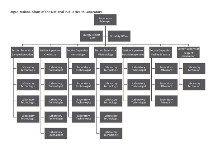 Laboratory organizational chart template in Word and Pdf formats
