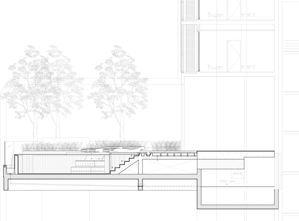 Schematic Section of the Rooftop Pool at Pyne, Bangkok Thai Landscape Architects T.R.O.P