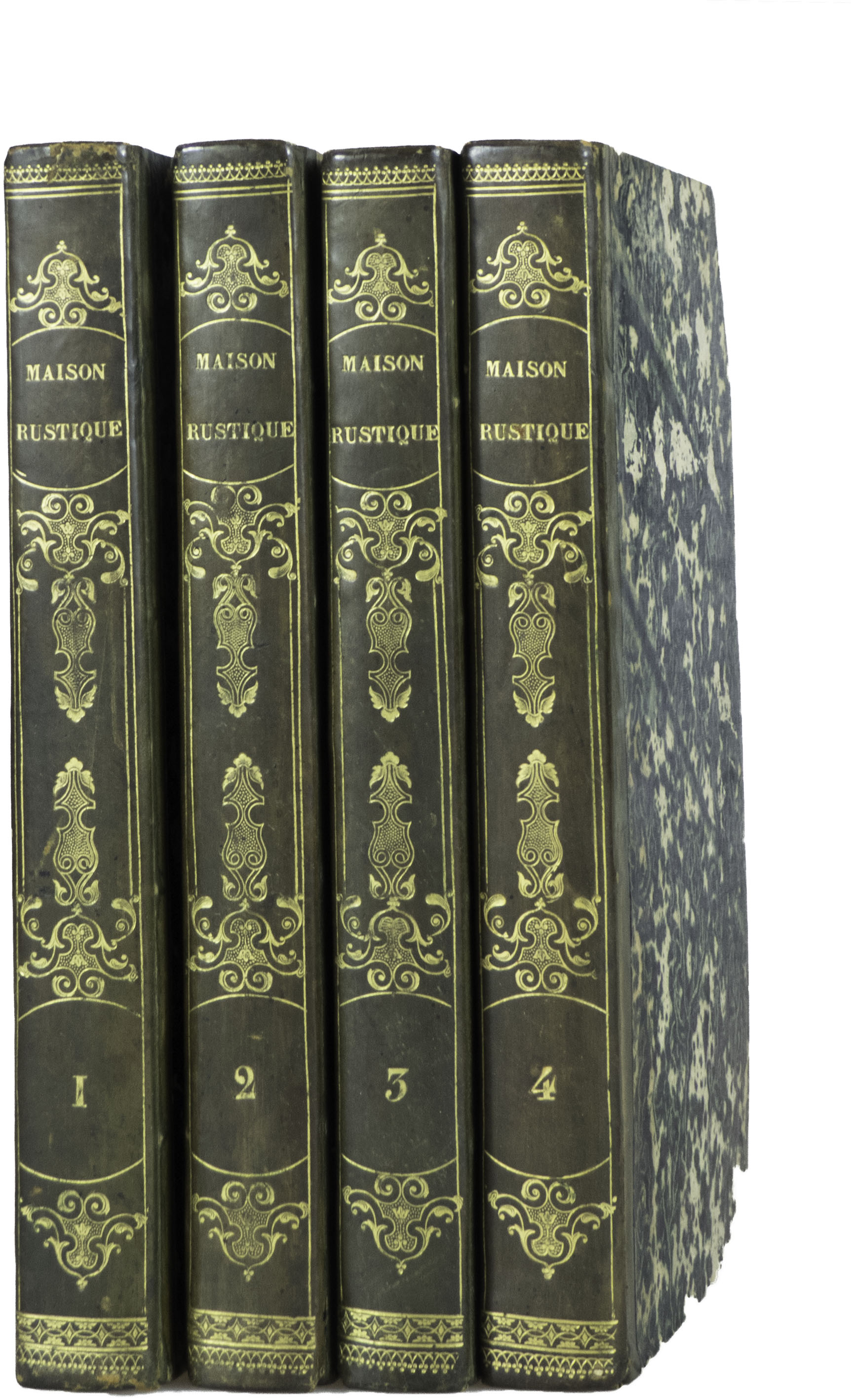 Maison rustique du XIXe siècle (La) Le Dicopathe