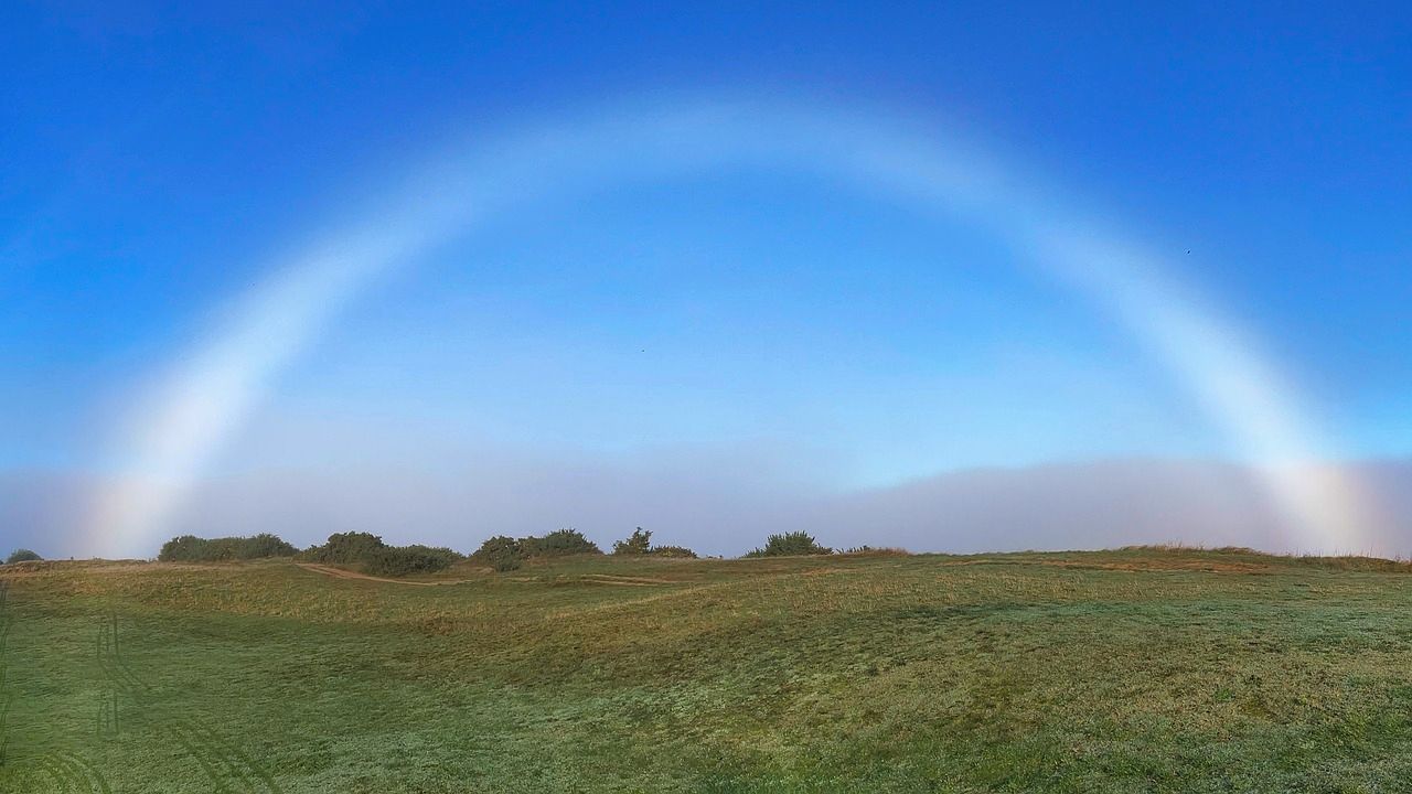 Has it ever rained frogs? 10 strange weather terms explained