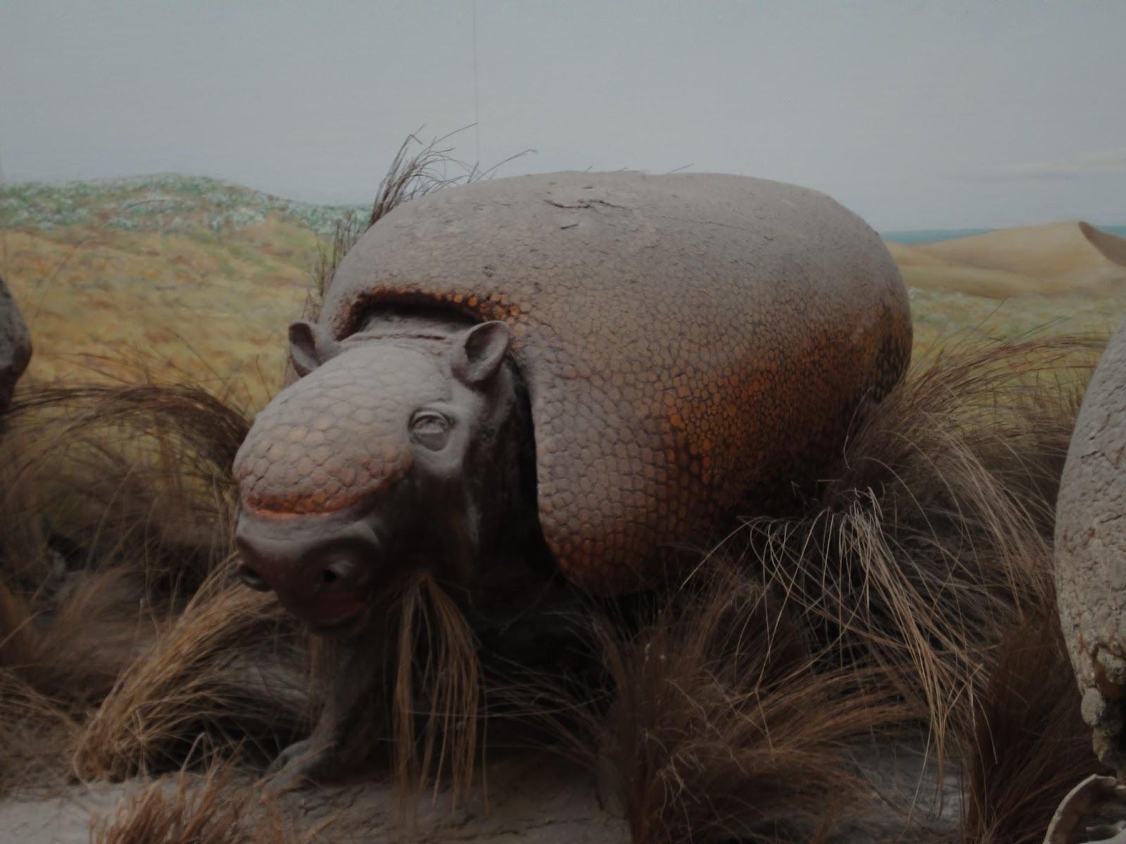 10 Of The Weirdest Extinct Animals That Roamed The Earth