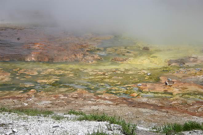 Archaea vs Bacteria - Difference and Comparison | Diffen