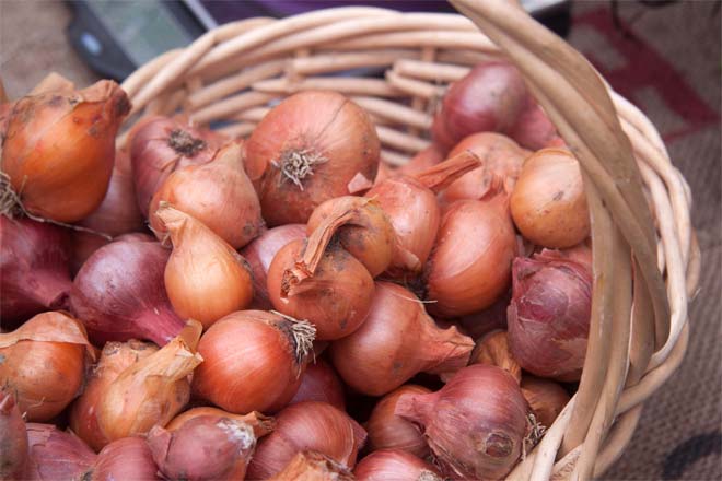 Shallots vs Onions Difference and Comparison Diffen