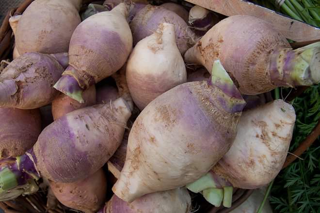 Rutabaga vs Turnip Difference and Comparison Diffen