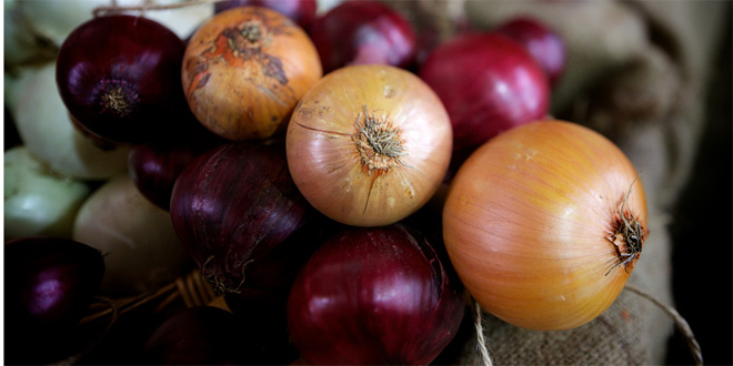 Shallots vs Onions Difference and Comparison Diffen