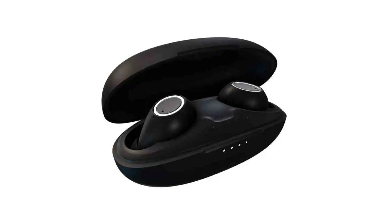 Truly wireless earphones with mic under a budget Digit