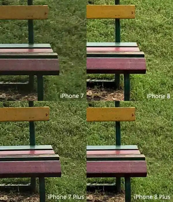 Apple iPhone 8 vs iPhone 7 Rear camera comparison Digit