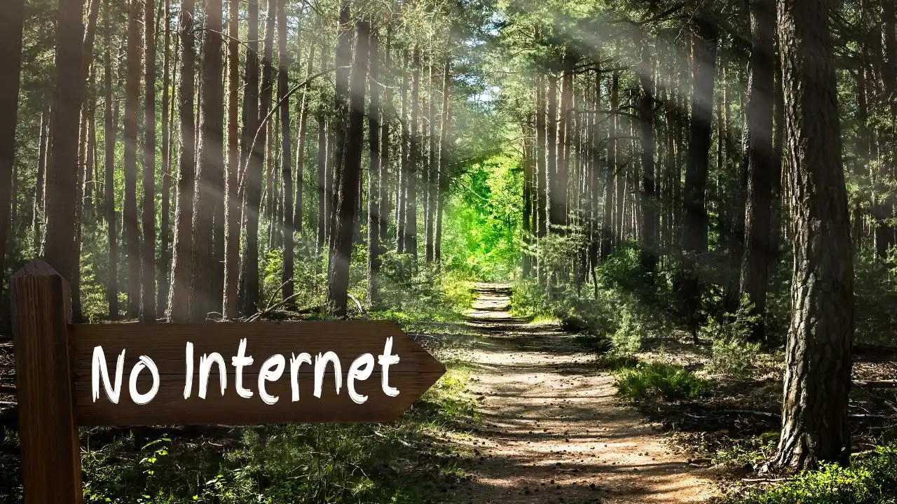 The ultimate guide to digital detox Reclaim your world in a hyper