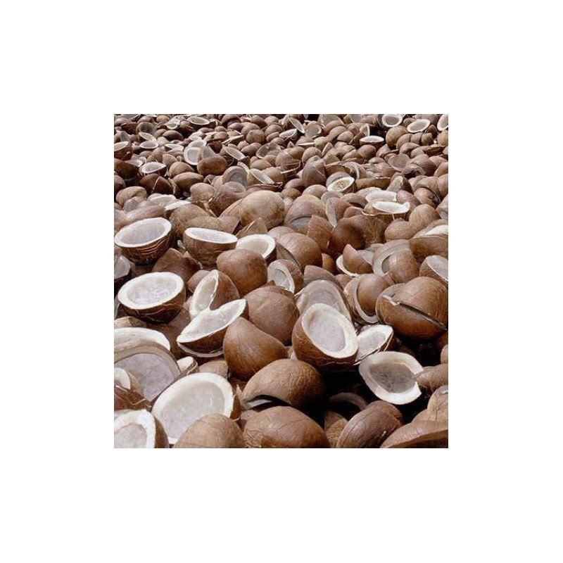 Buy Dry Coconut,sukha Gola online best price Delhi,India Dilligrocery