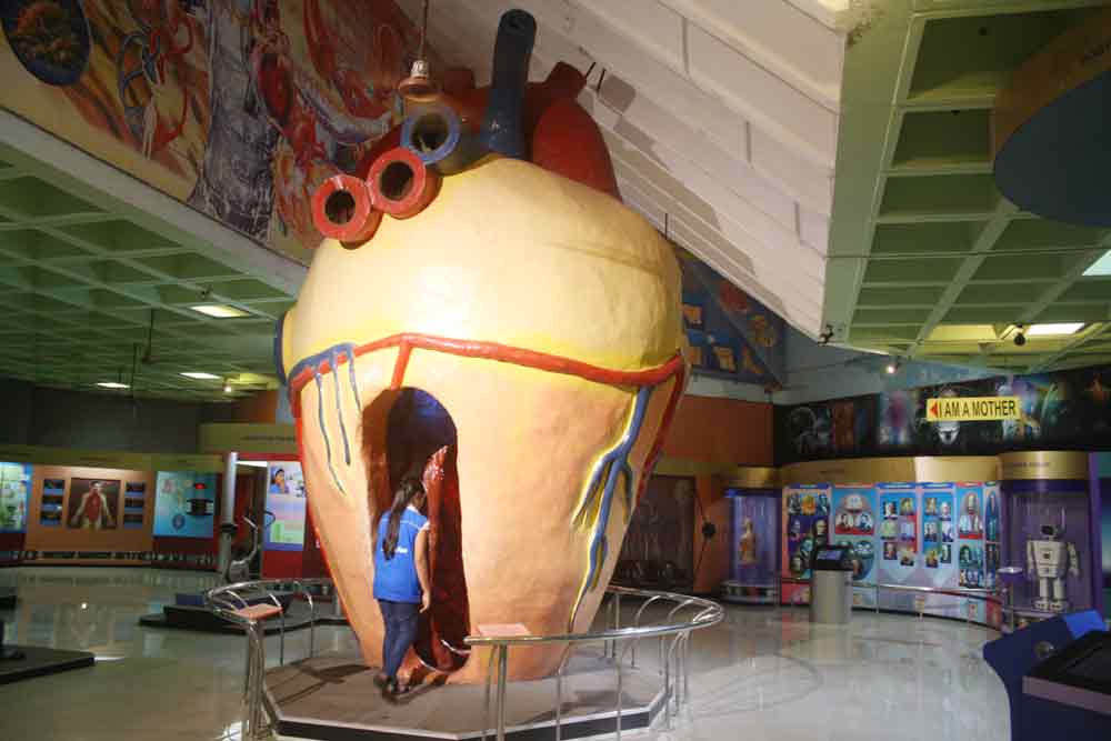 Six Amazing Things You Can See At Mumbai S Nehru Science Centre